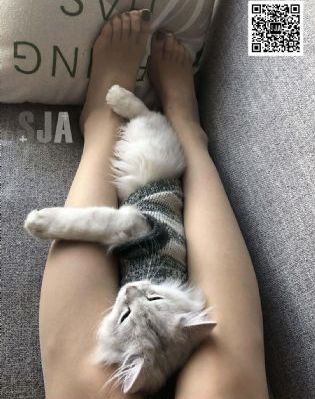 精品久久久麻豆国产精品_DVD免费观看超清